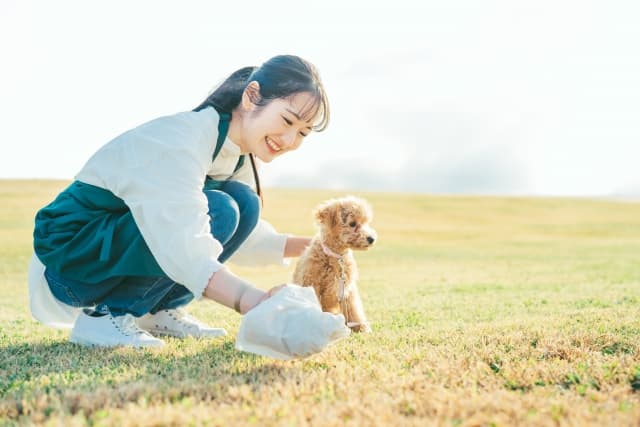 犬の散歩で排泄物を片付ける女性