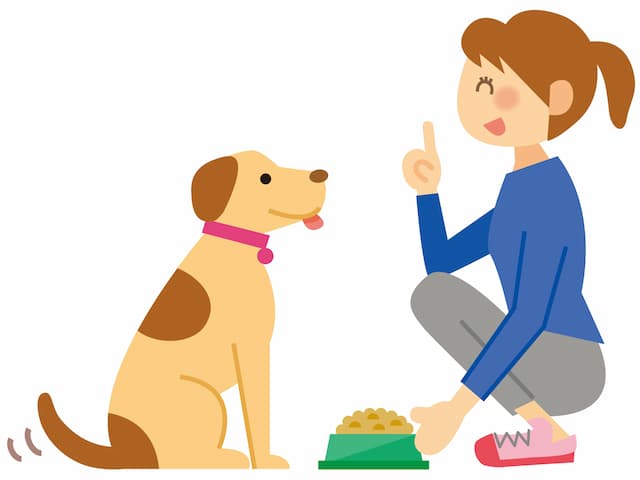 ご飯をもらっている犬