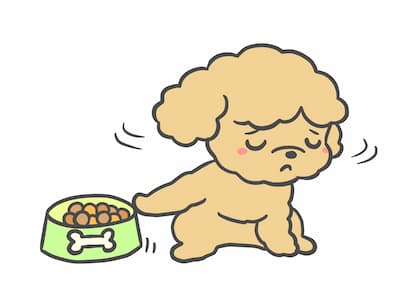 ご飯を食べたがらない犬