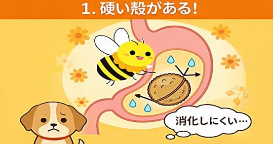 胃の中で消化されない花粉