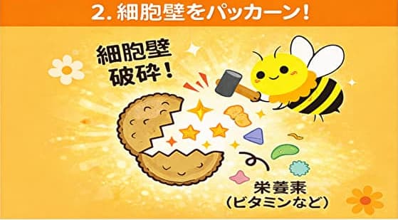 みつばちが花粉の殻を割っている